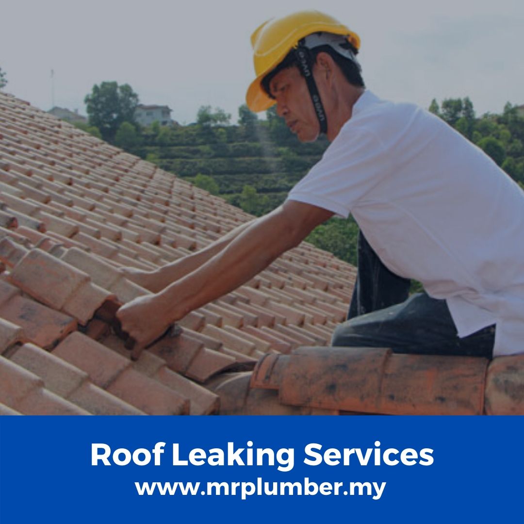 Roof Leaking Services