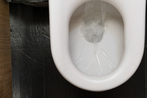 Clogged Toilet