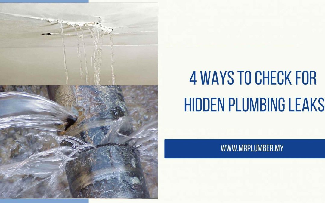 Check for Hidden Plumbing Leaks