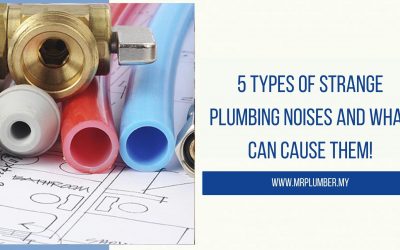 5 Types of Strange Plumbing Noises and What Can Cause Them!